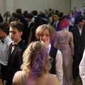 IMG 3885